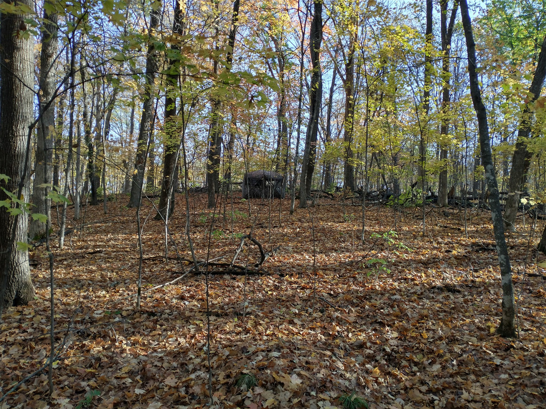 IMG_20211016_095532299_HDR