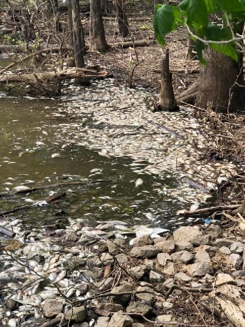 6E449D37-9704-43B1-A11D-D6036E5FD429