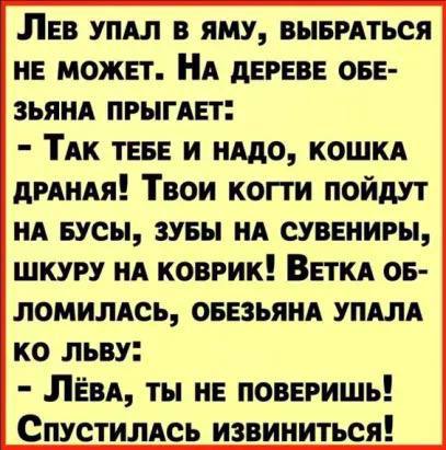 IMG 20260219 103916 843