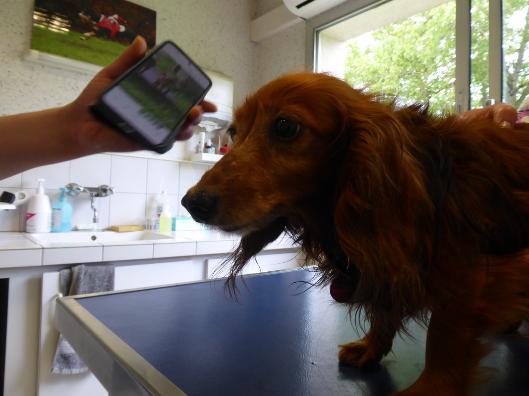 [Image: P1040882.jpg]