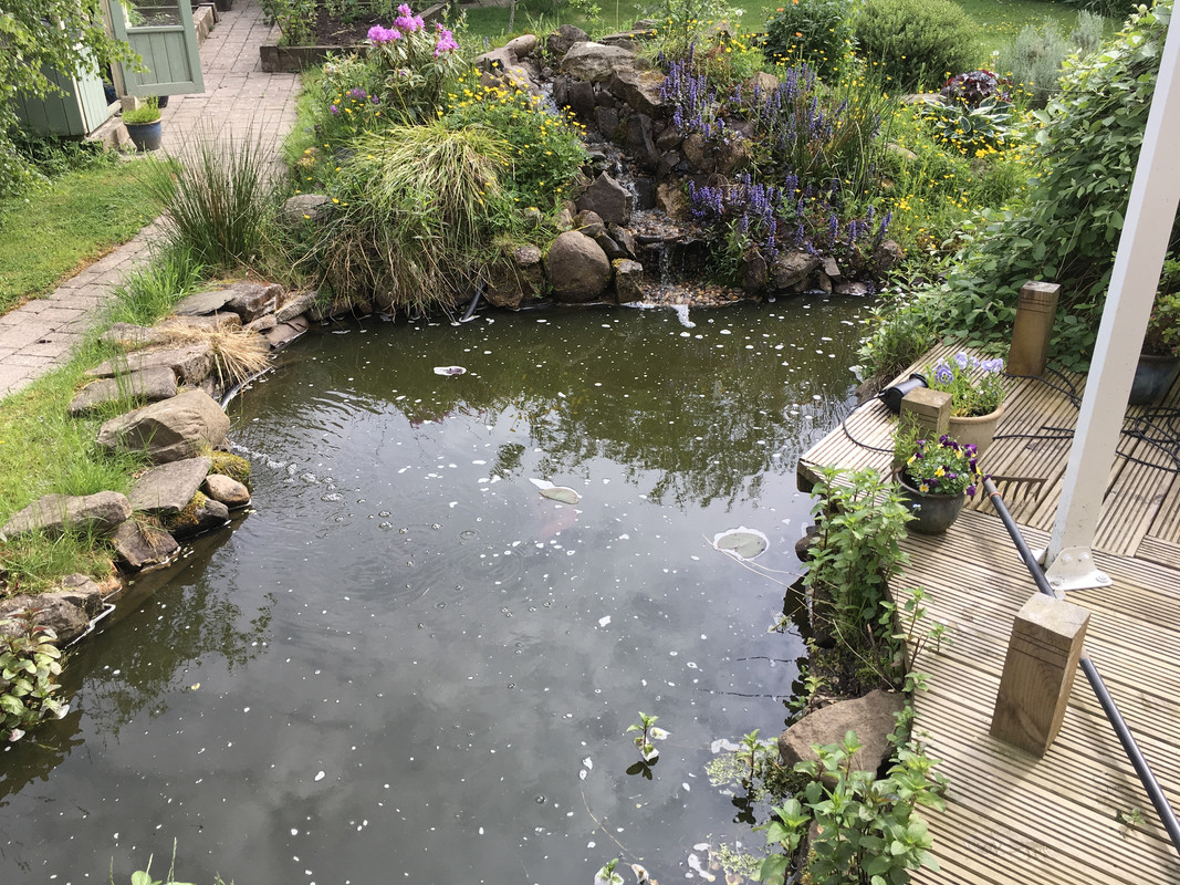 2162A7C7-6D2A-4A98-A3FB-A6BCE3309A3A