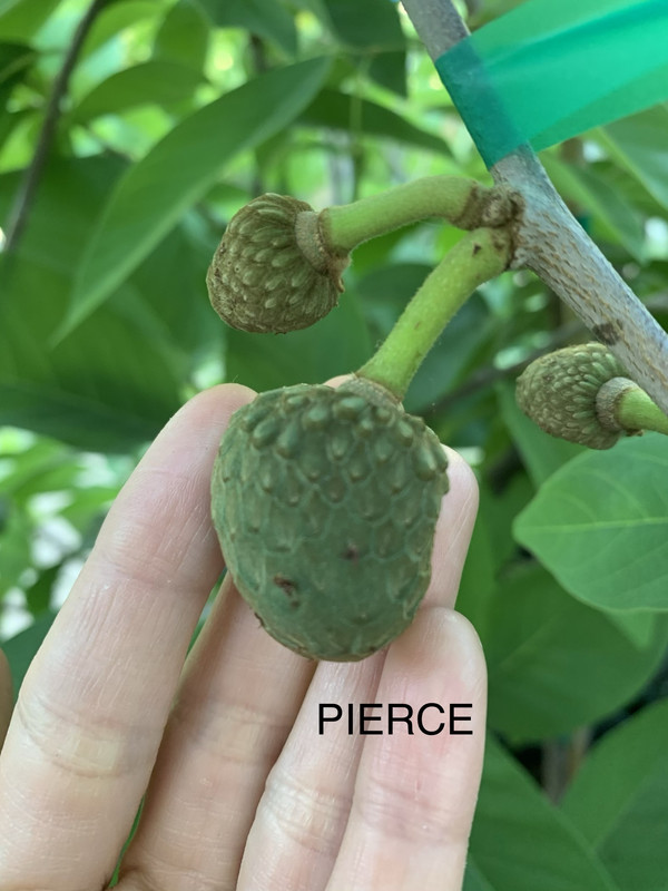 29D04583-FFF1-46FC-838C-D1E8B49EC63E