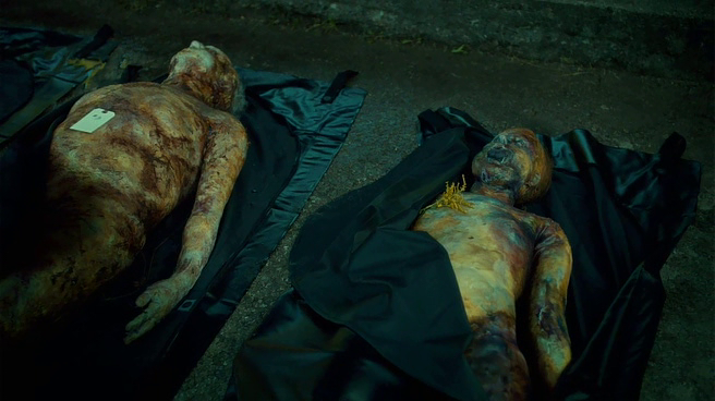 vlcsnap-2015-01-31-23h38m03s218