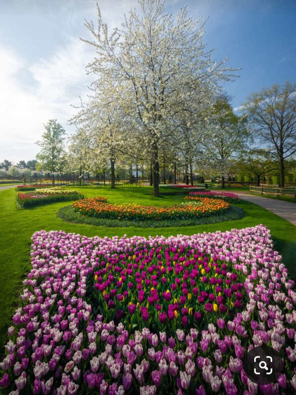 Screenshot_20231014_213501_Pinterest