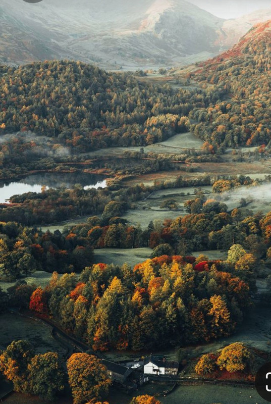 Screenshot_20230314_225549_Pinterest