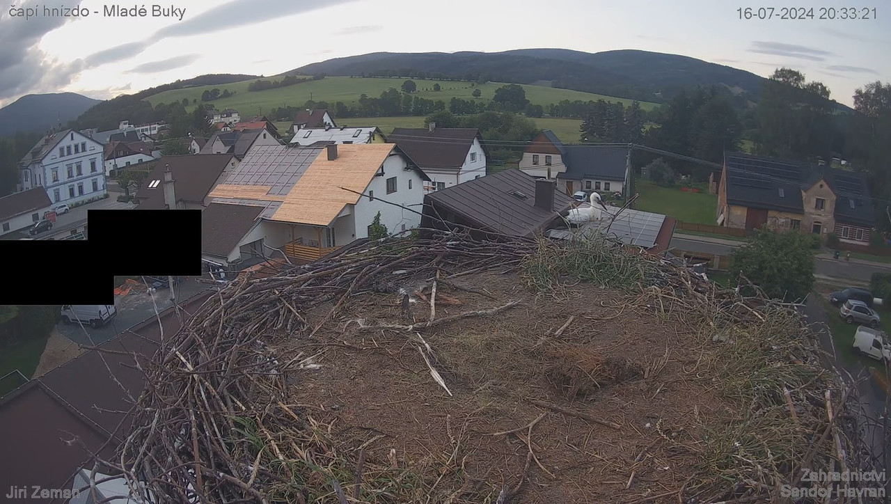 Tiešraides kamera — Mladé Buky — stārķa ligzda 12-55-29 screenshot
