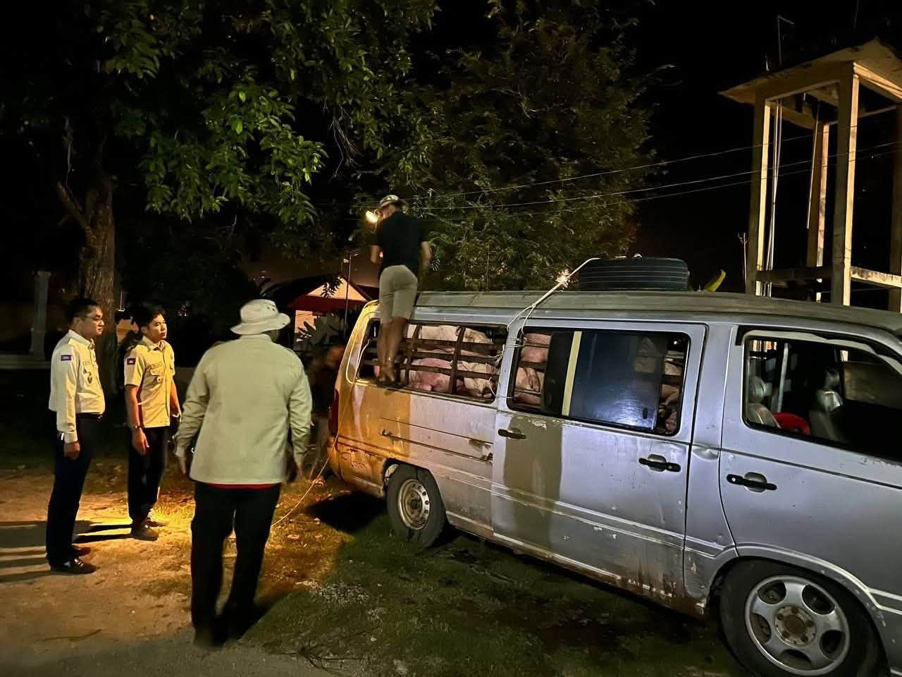 twenty four pigs seized vietnam smuggling cambodia news 2026 323423