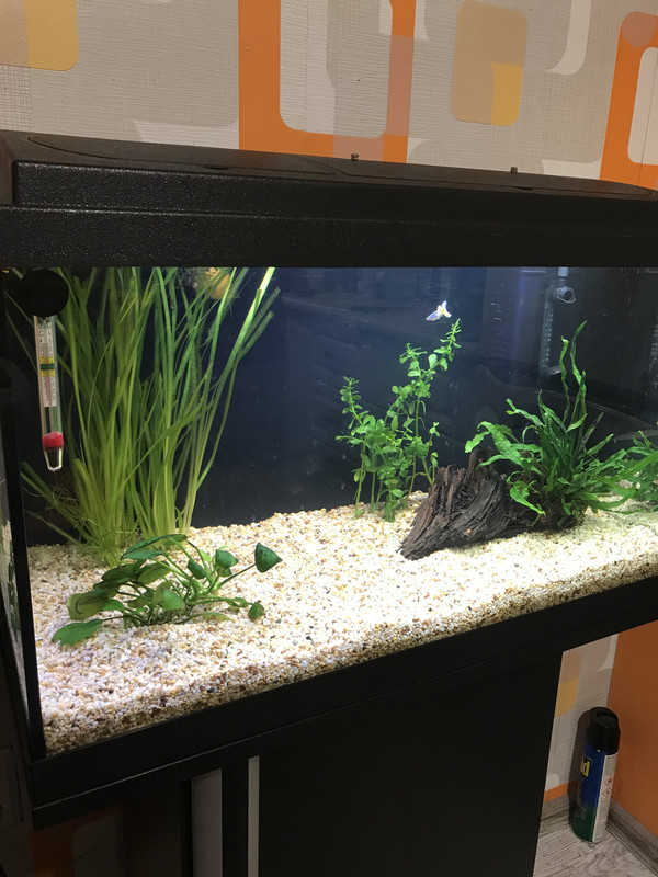 B1A055D9-E90F-430D-A955-FFCDC2A30167