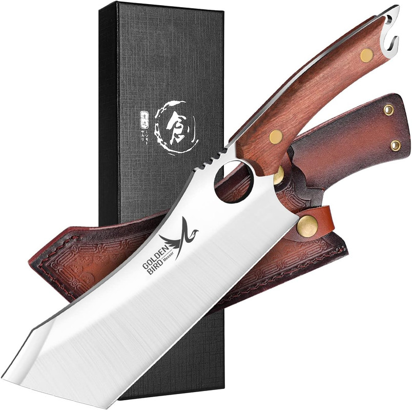 71jgww8KamL._AC_SL1500_