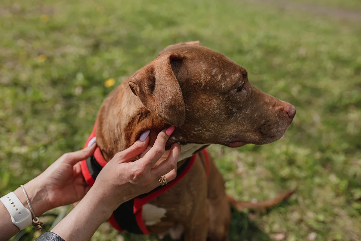 BB018B25-340C-439F-9094-8A122498808B