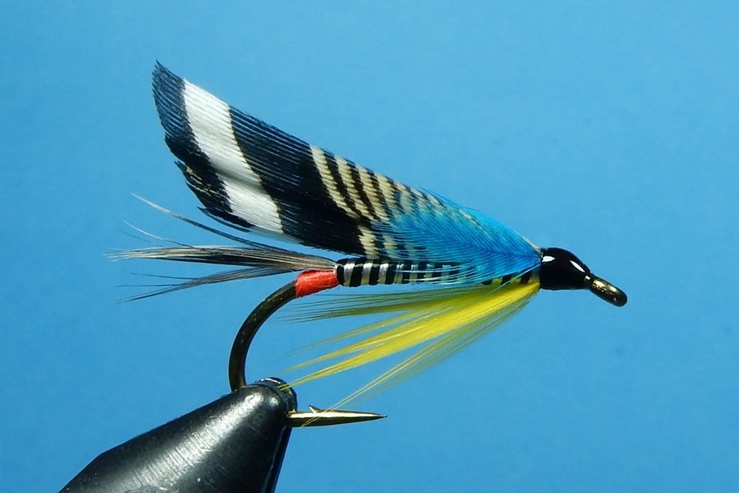 Montreal Wet Fly, A Traditional Bergman Pattern