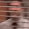 https://i.postimg.cc/c1wggdBb/c61f528f899710dbd5f4972c2ea6feee.gif