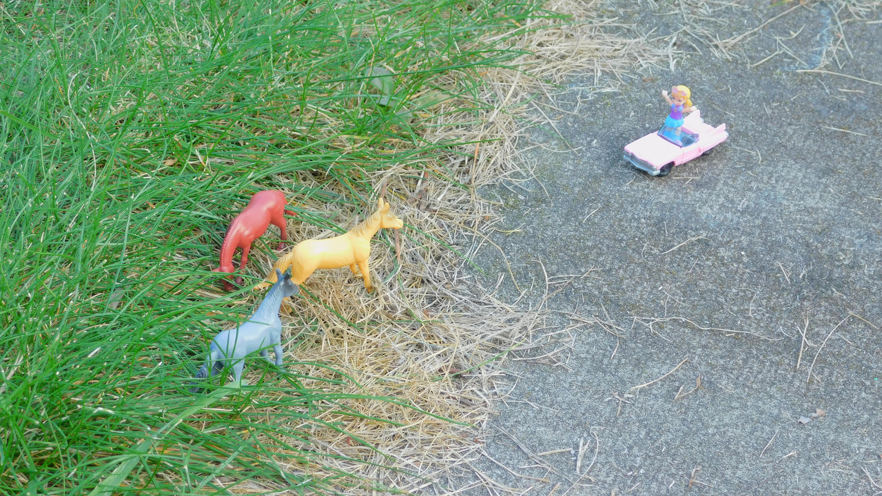 сентябрь дачно-миниатюр 2025 118