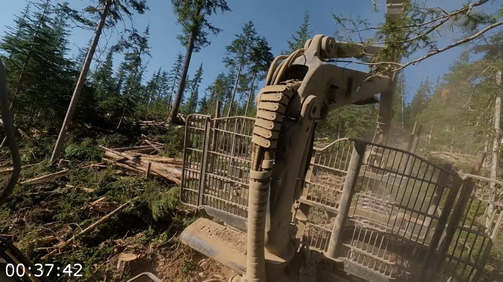 [Image: s3iugja58vp7.png]