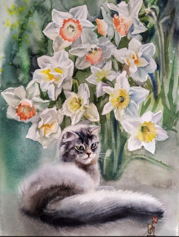 47