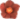 image of hellebore