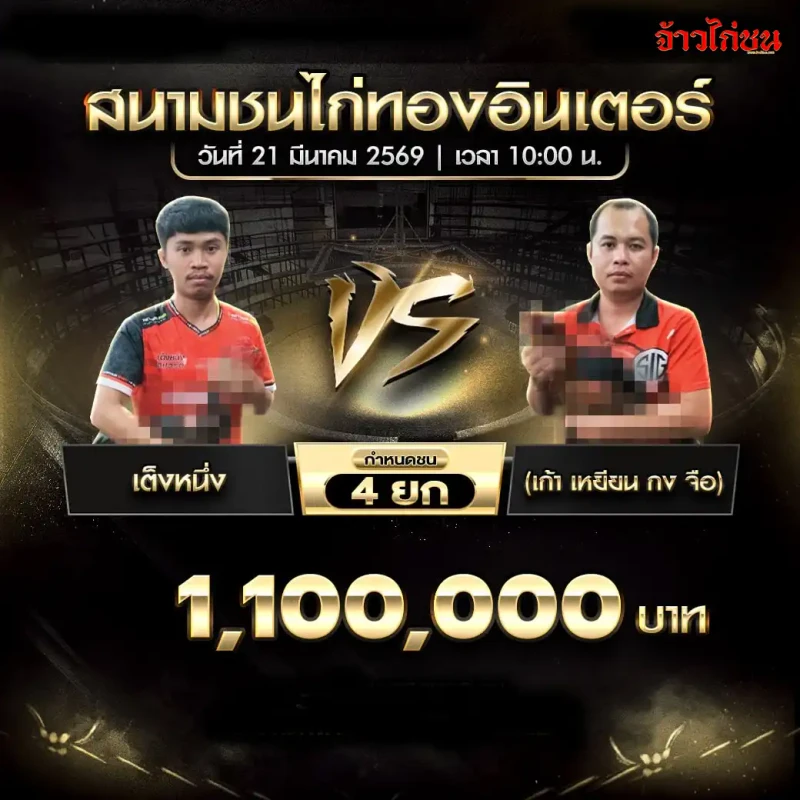 เต็งหนึ่ง ปะทะ 高原公子(เก้า เหยียน กง จือ) ในโปรแกรมไก่ชนวันนี้ สนามทองอินเตอร์