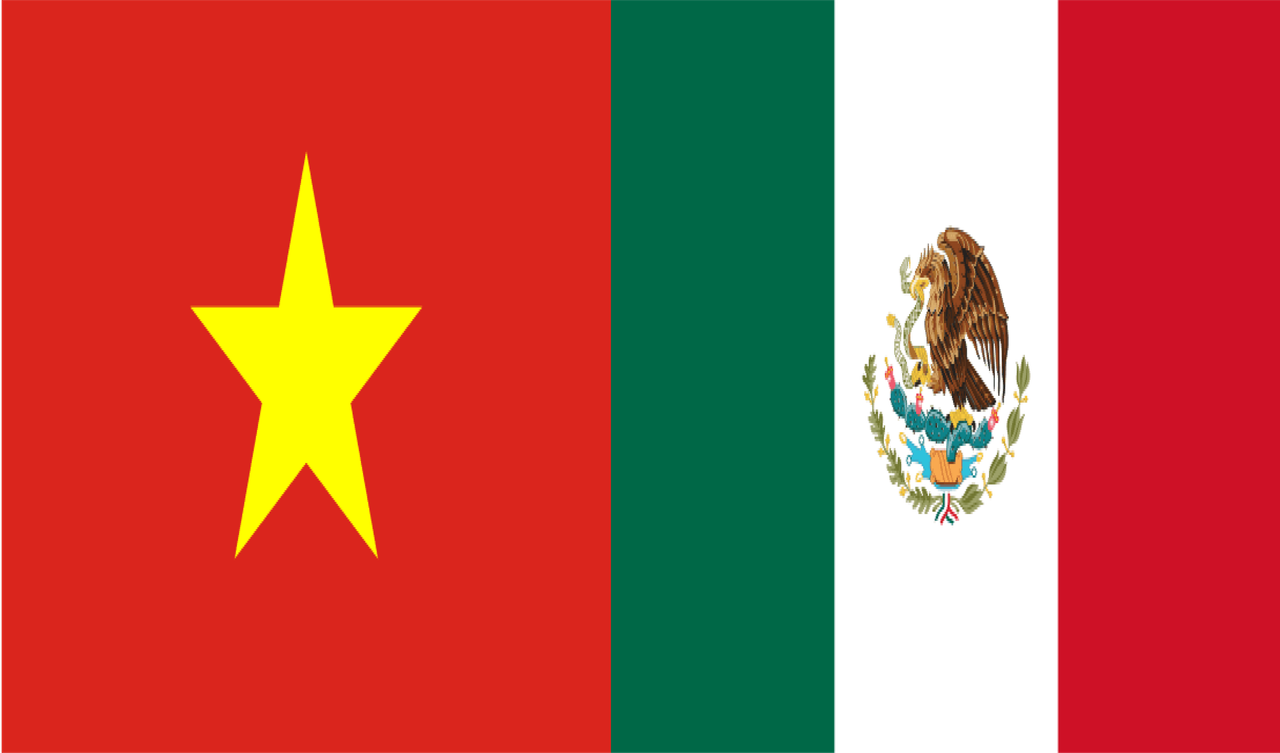 Vietnamita