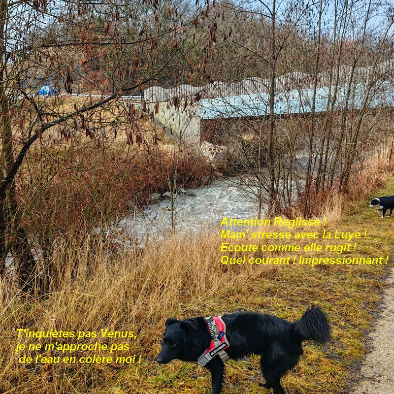 IMG-20260211-122445bb