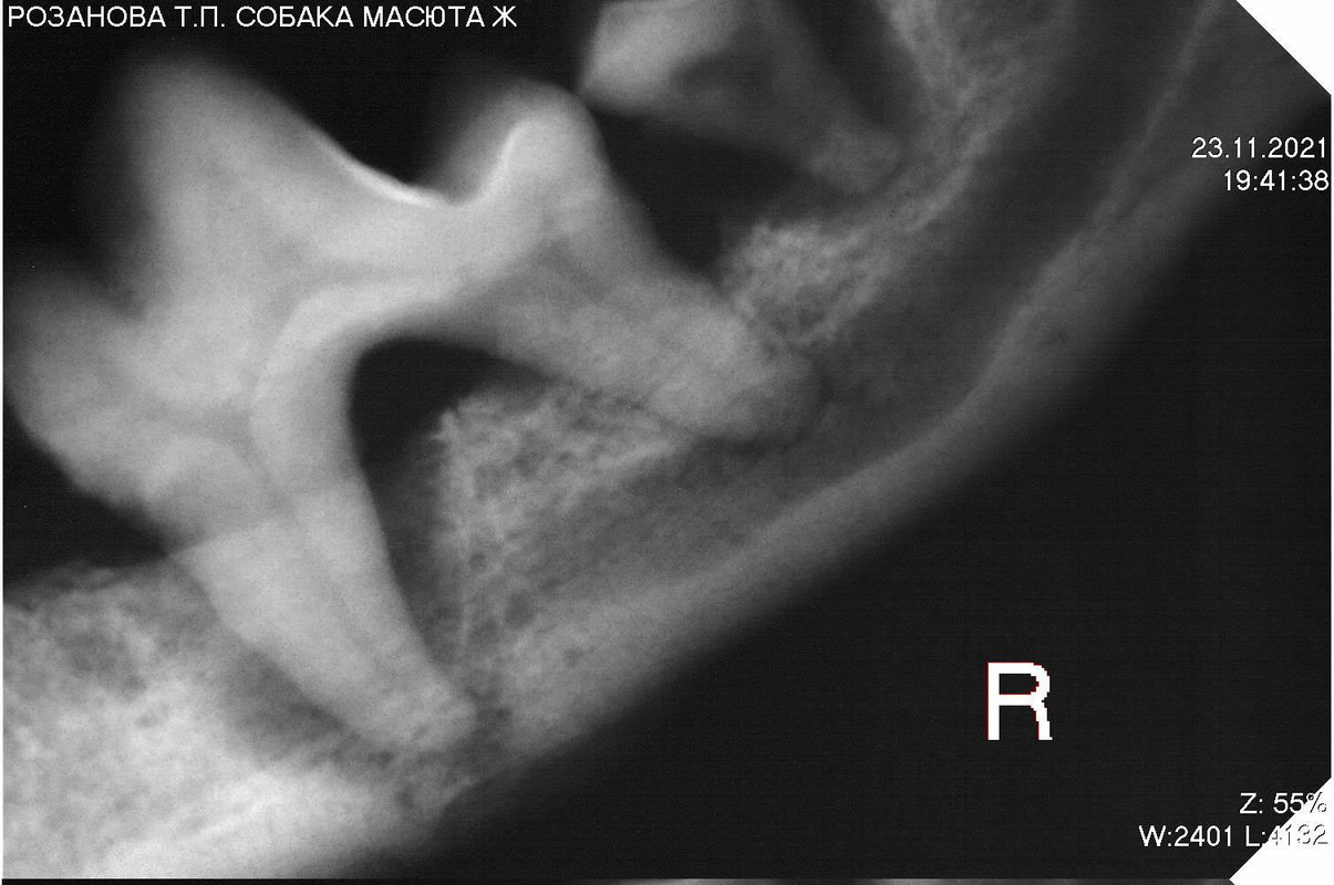 FFA61D15-1090-4C17-A636-5794CAEFBC78