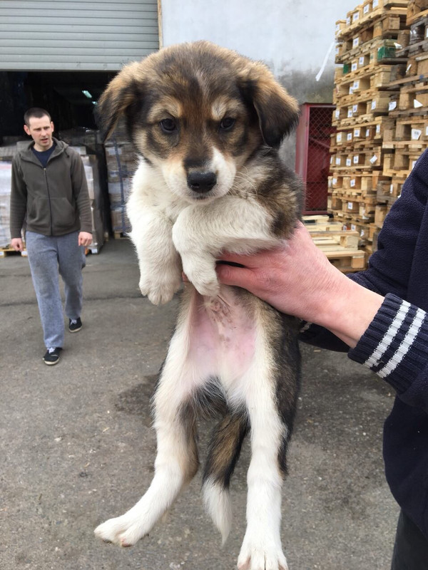 EB7E6FE2-544F-41E8-AED4-E0CCB1057659