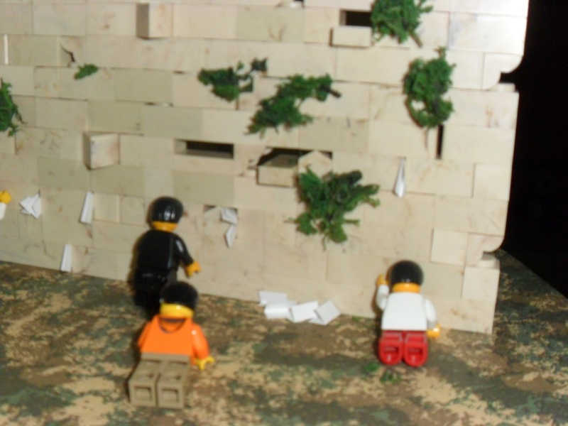 SAM_3466-20151021-123436