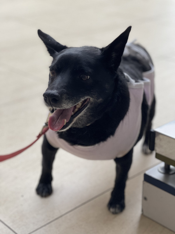 95ED50DB-D8CB-4E1D-BEA6-2B8B0312B52D