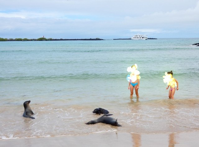 Galápagos 2022 - Blogs de Ecuador - Día 9 (27 de junio): Isabela (2)