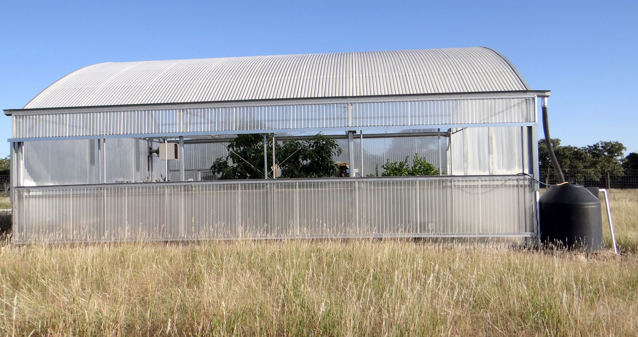 Greenhouse