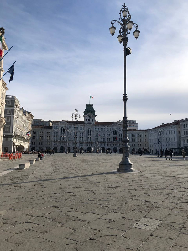 photo_2025-02-01_17-41-58