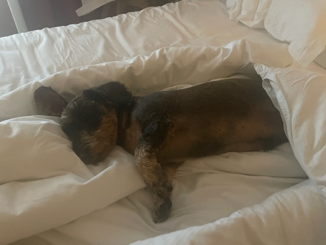 [Image: IMG-5172.jpg]