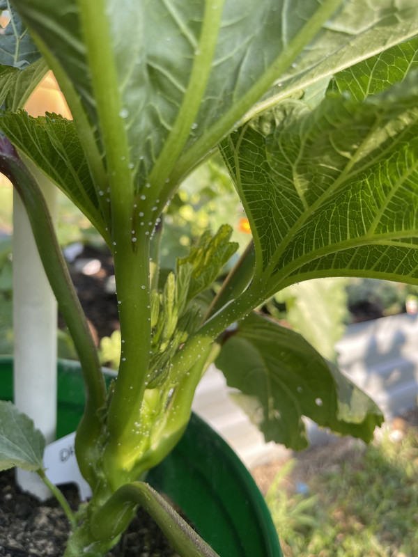 6D2E8C7E-1804-4E10-9173-0FEC4428F870