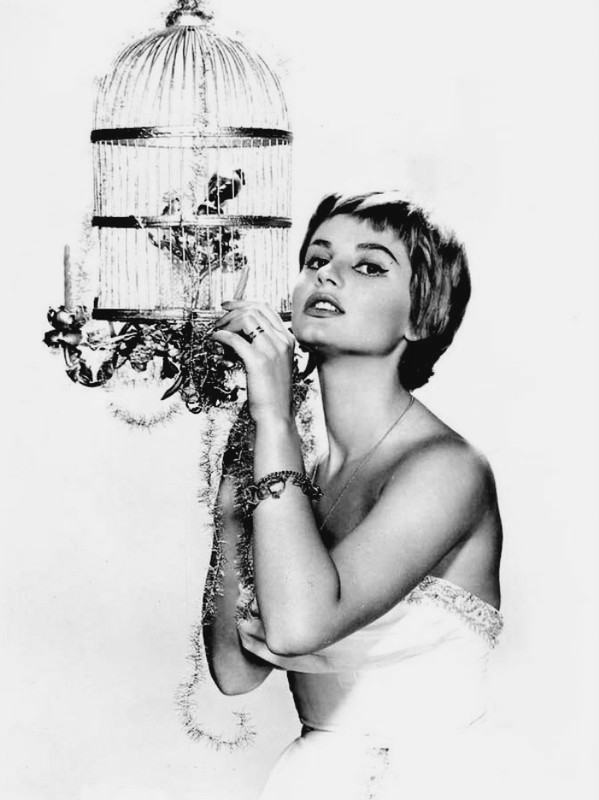 jill_ireland_a59