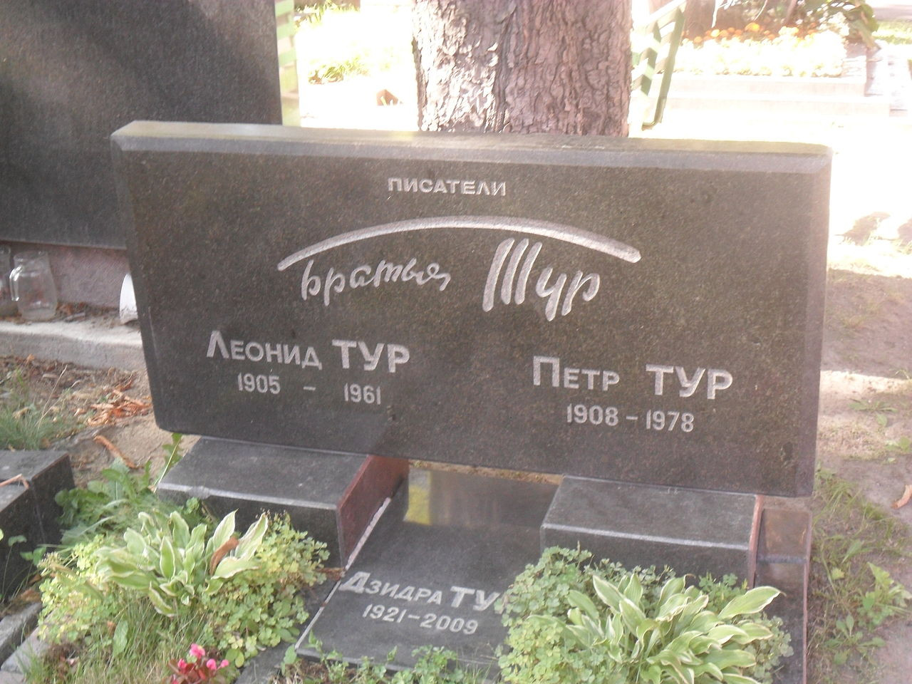 Могила писателей братьев Тур