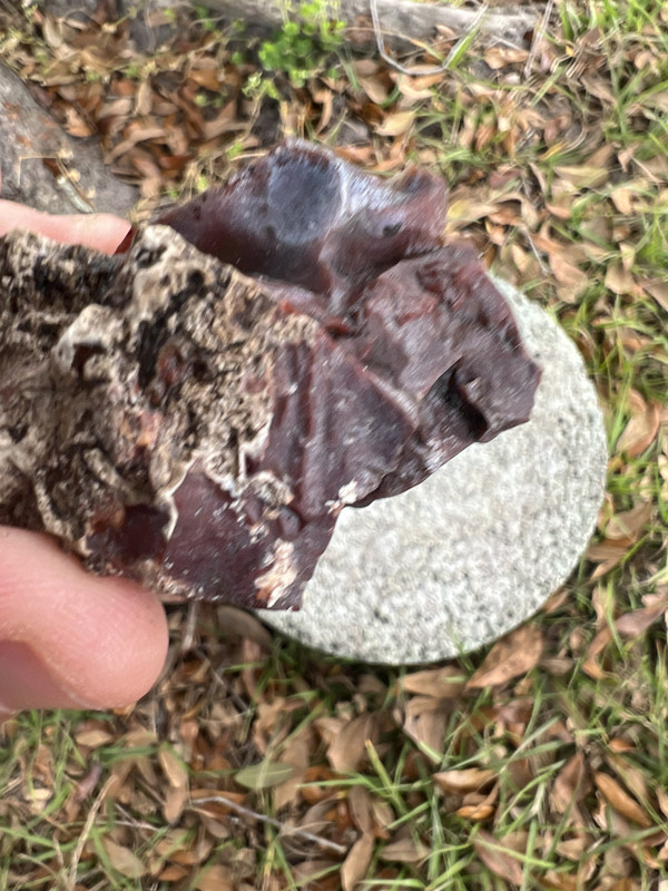 0B5F1578-B81E-4976-BE96-DDA00DE2550C