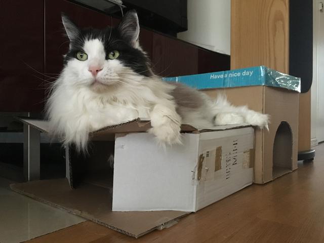 561605-CC-6531-472-F-AF3-E-0-CDF99-FC375