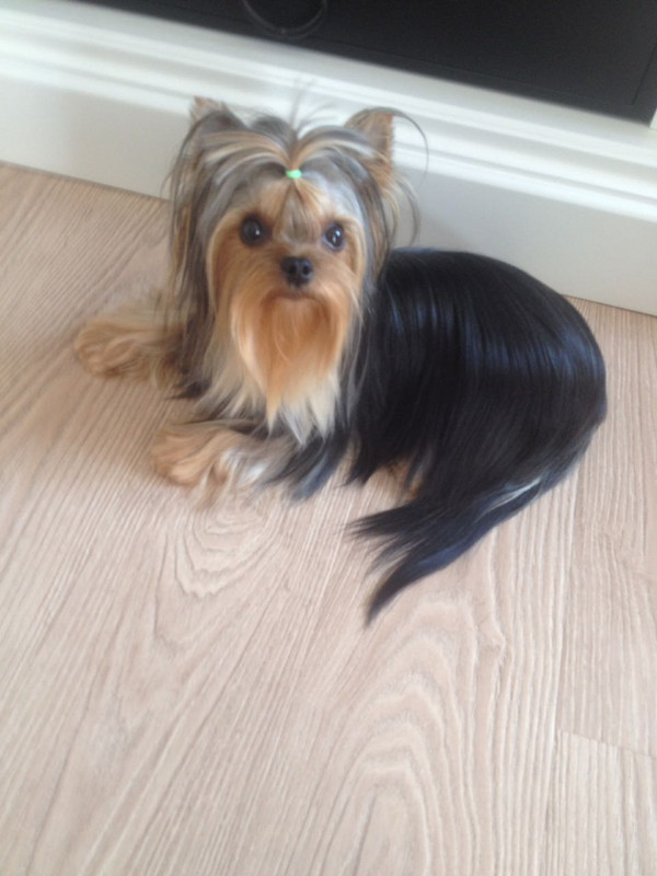 1FC2FFE6-27FF-410C-BEA3-05D4751F9C84