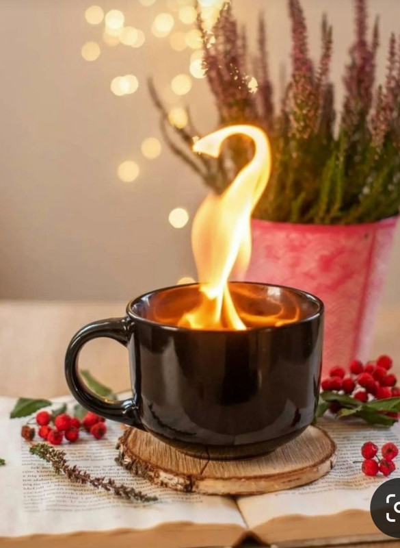 Screenshot_20240118_230454_Pinterest