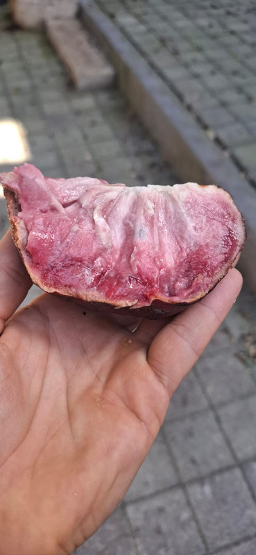 Whats App Image 2026 03 10 at 7 47 58 PM (2)