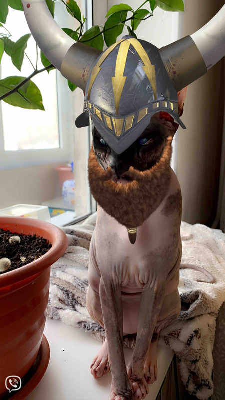 IMG-d17f717ab3a716dbf155c0a1629bfb6f-V