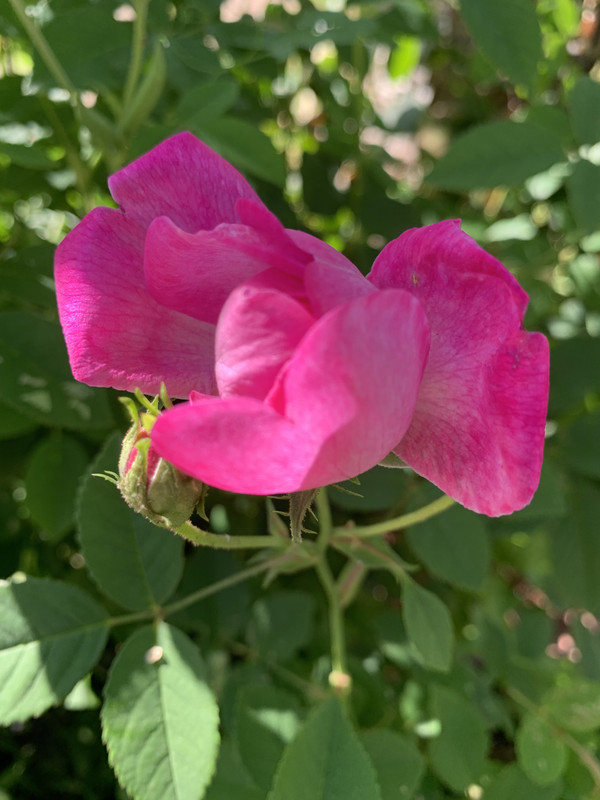 B23ED82E-7624-4713-839A-6DFF854BA189