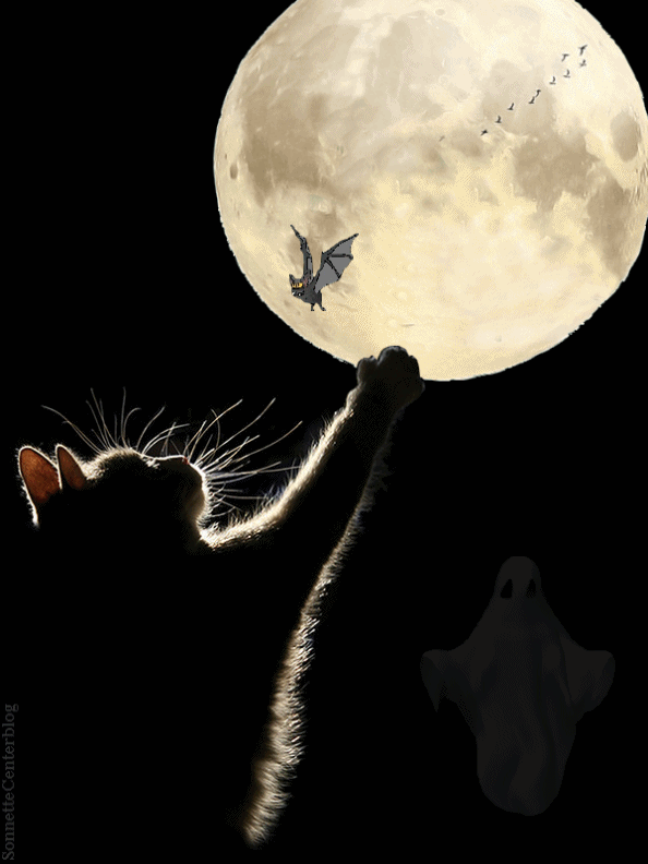 [Изображение: happy-full-moon-magical.gif]
