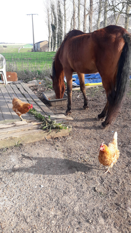 [Image: 20210224-160100.jpg]