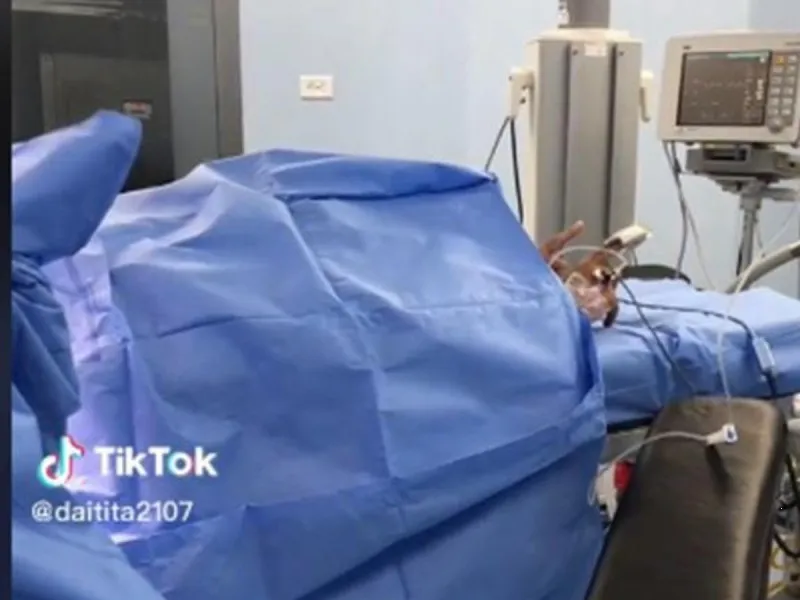 Joven perrea en el quirófano pese a estar anestesiado