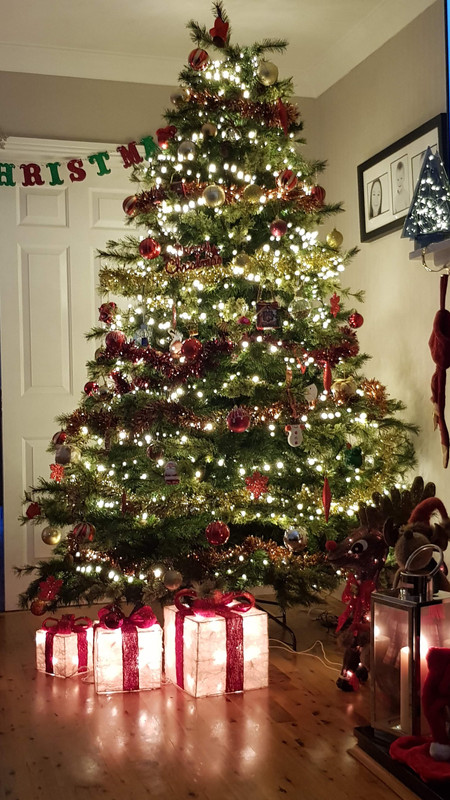 ACFE1B58-D62C-49B2-A493-249932FA4CCE