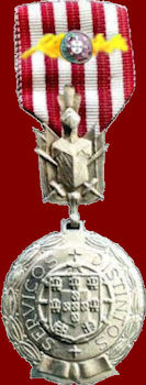 Medalha-de-Prata-de-Servi-os-Distintos-com-palma-350-vm