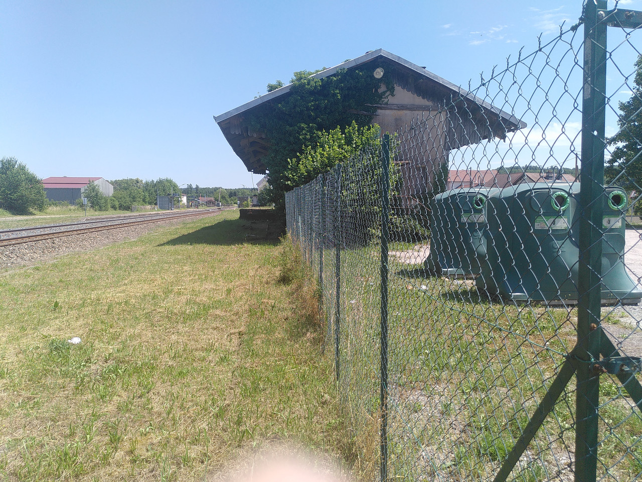 IMG 20260619 142318