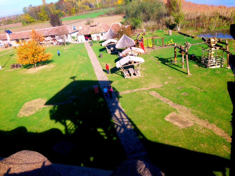 DSC-0339.jpg