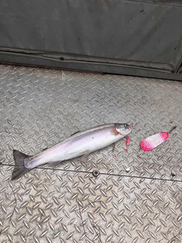 690181BF-4FB4-43A8-87AF-10357D0CB7DE