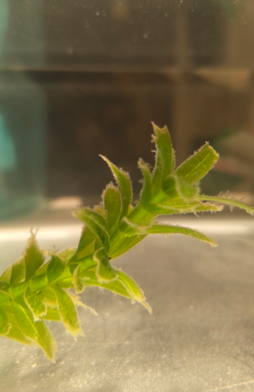 Screenshot 20260119 121101